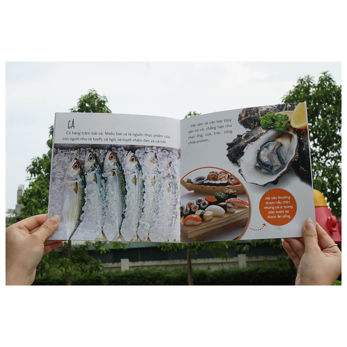 Combo : Healthy eating - Ăn uống lành mạnh