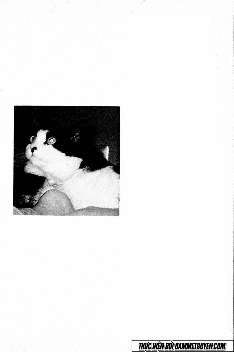 shin kotaro makaritoru! juudouhen chapter 174 17