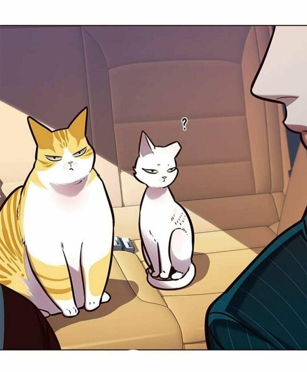 biến thân thành mèo chapter 144 30