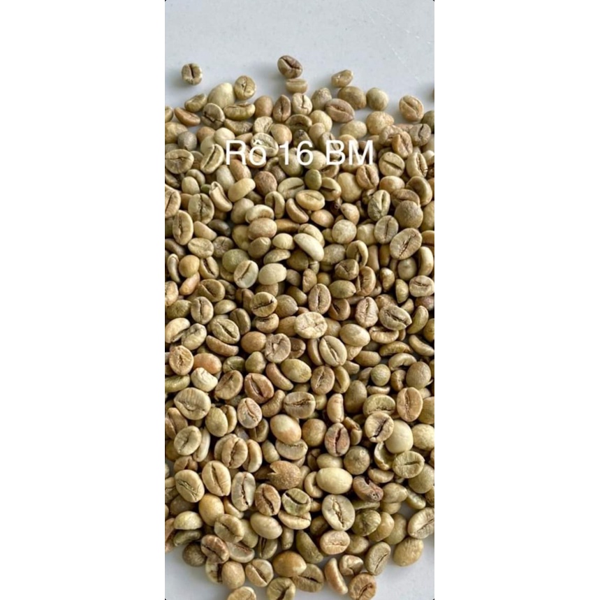 1kg Cà phê nhân xanh s16 s18 ROBUSTA , FINE RO daklak