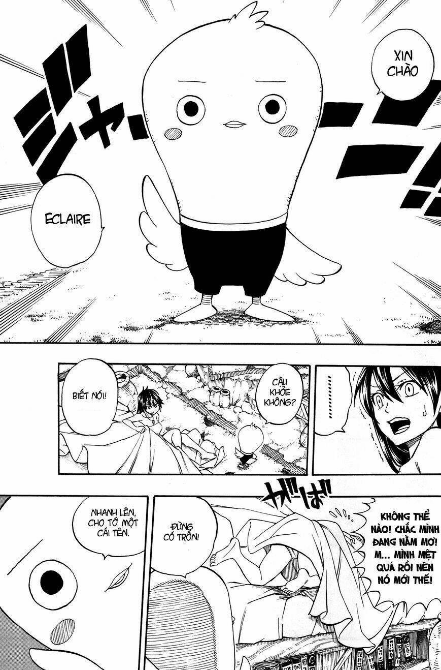 hội pháp sư nổi tiếng ngoại truyện - hòn đá phượng hoàng chapter 0 12