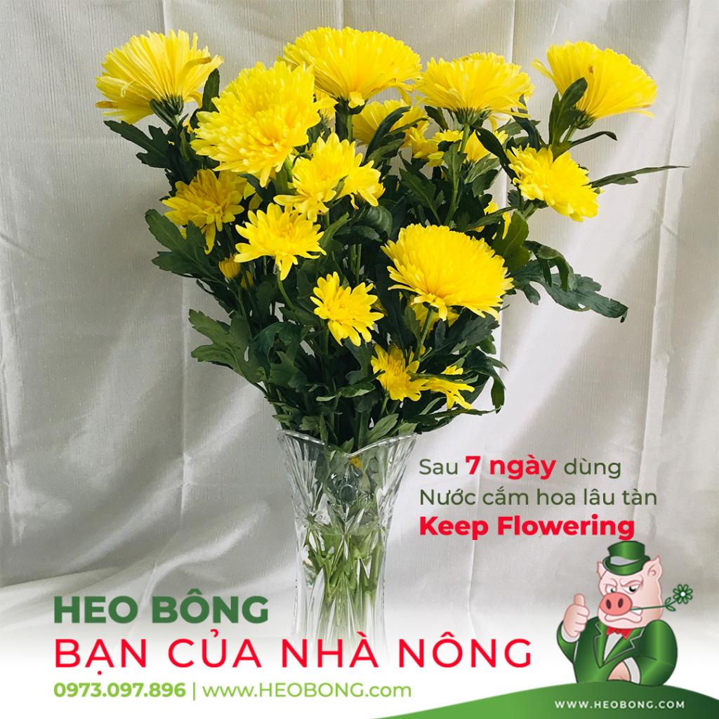 - Combo 18 ống Nước cắm hoa lâu tàn >14 NGÀY