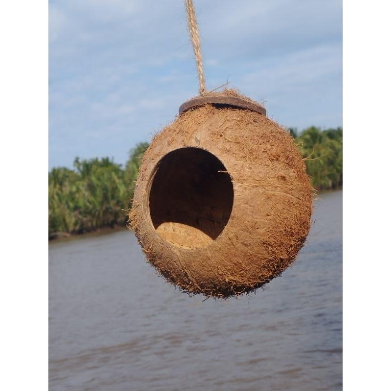 Tổ Chim Nhà Bọ Hang Cá Gáo Dừa Trang Trí Size Nhỏ