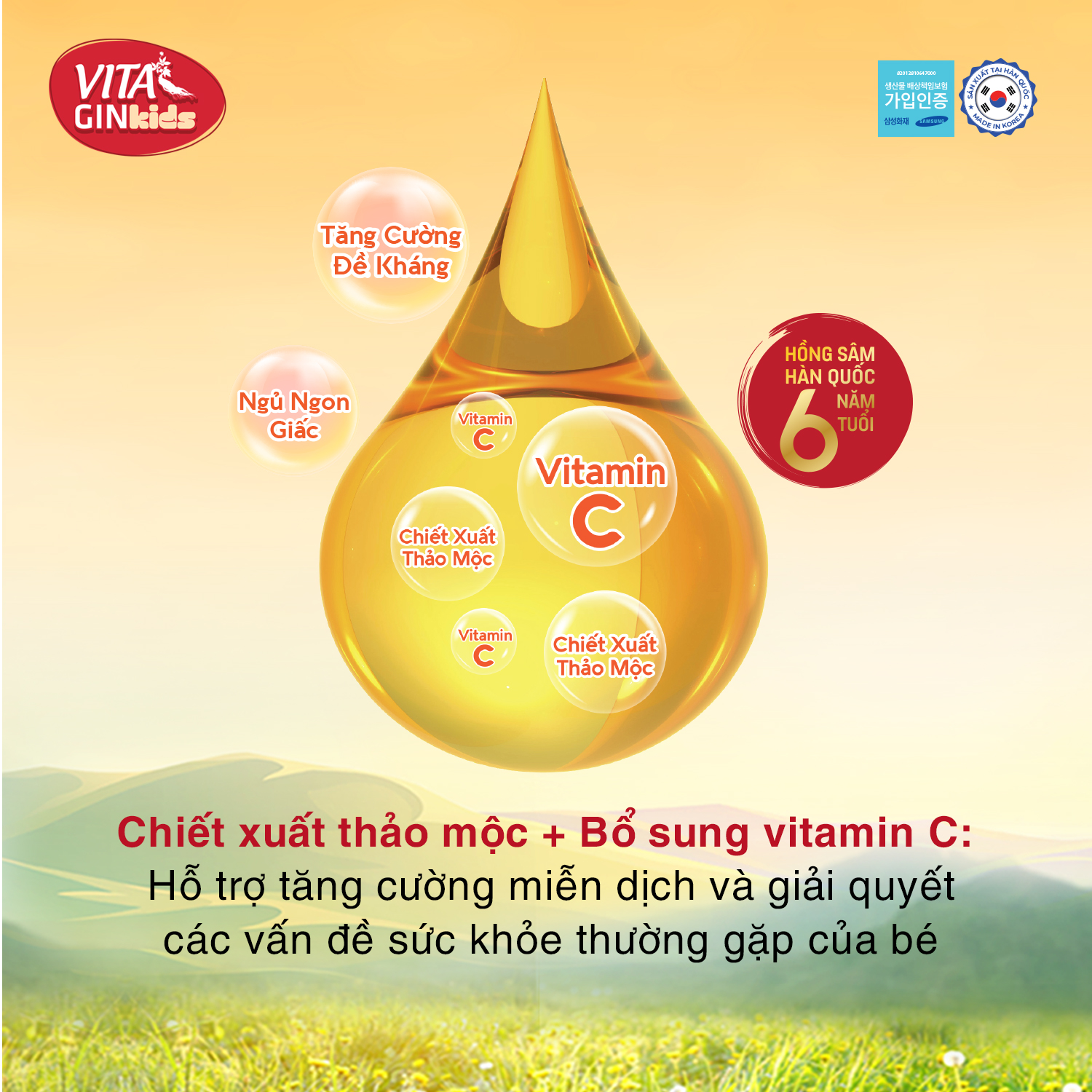 Nước Hồng Sâm Trái Cây Trẻ Em Vital Gin Kids (100ml)