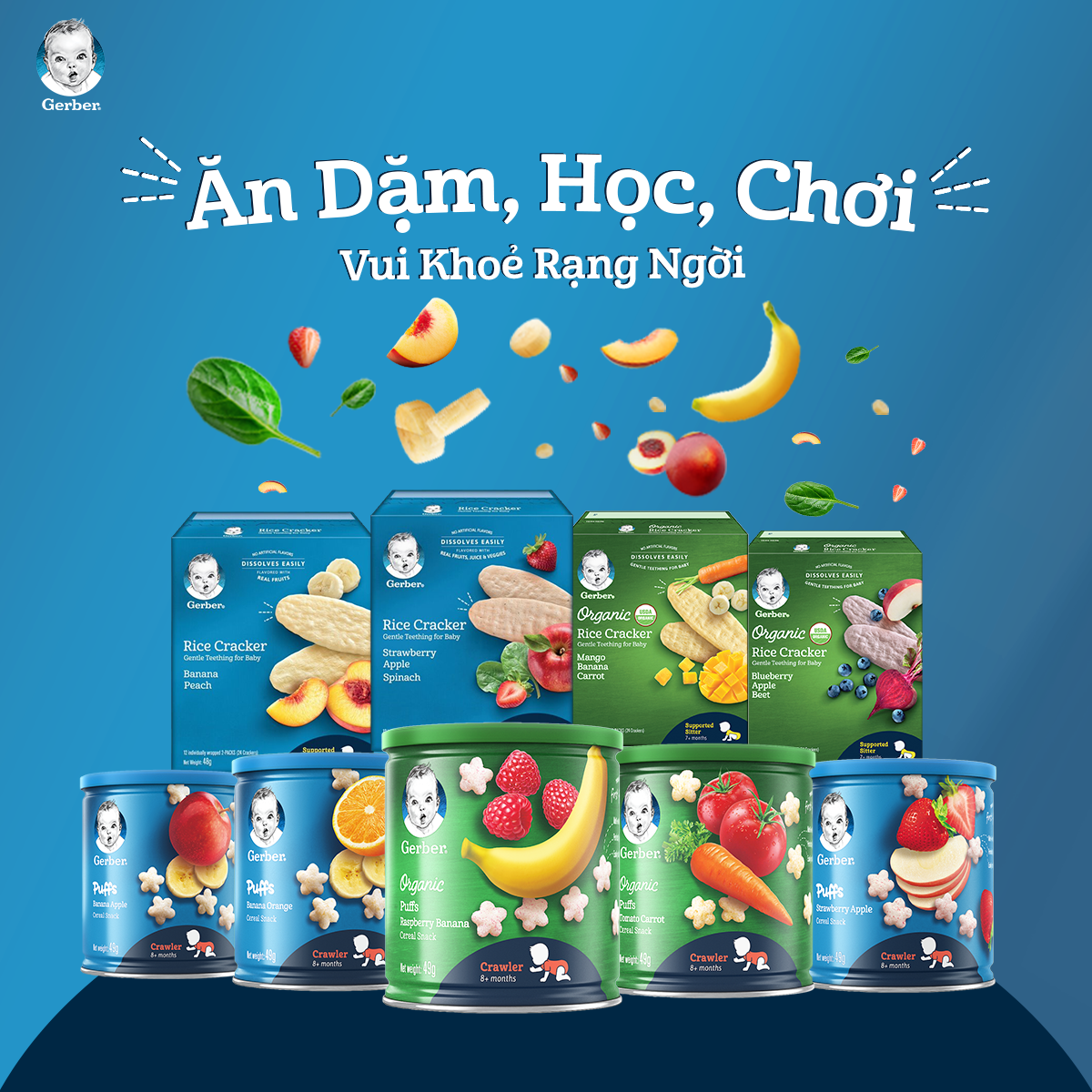 Combo 2 Bánh Ăn Dặm Hữu Cơ Nestlé Gerber Chính Hãng - Tặng Hộp Nhựa Cao Cấp 1000ml