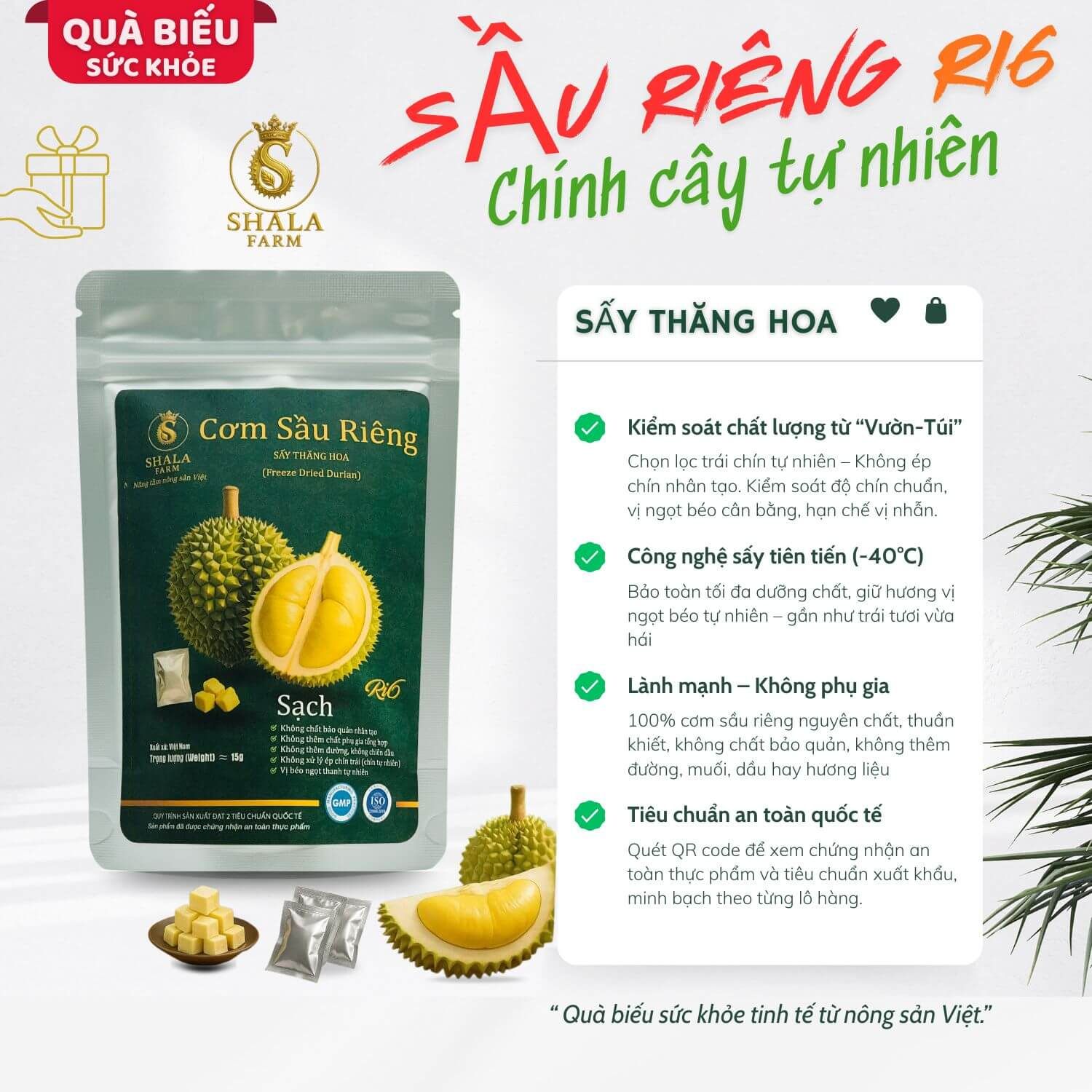 [ISO 22000] Cơm Sầu Riêng Ri6 Sấy Thăng Hoa Shala Farm 15g – Snack Healthy từ Trái Chín Tự Nhiên