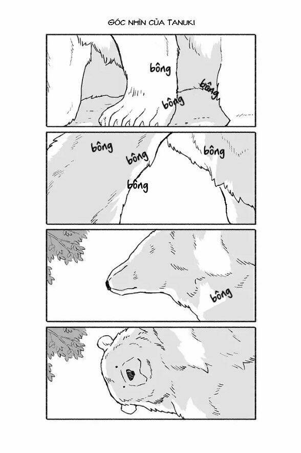 gấu và tanuki chapter 2 2