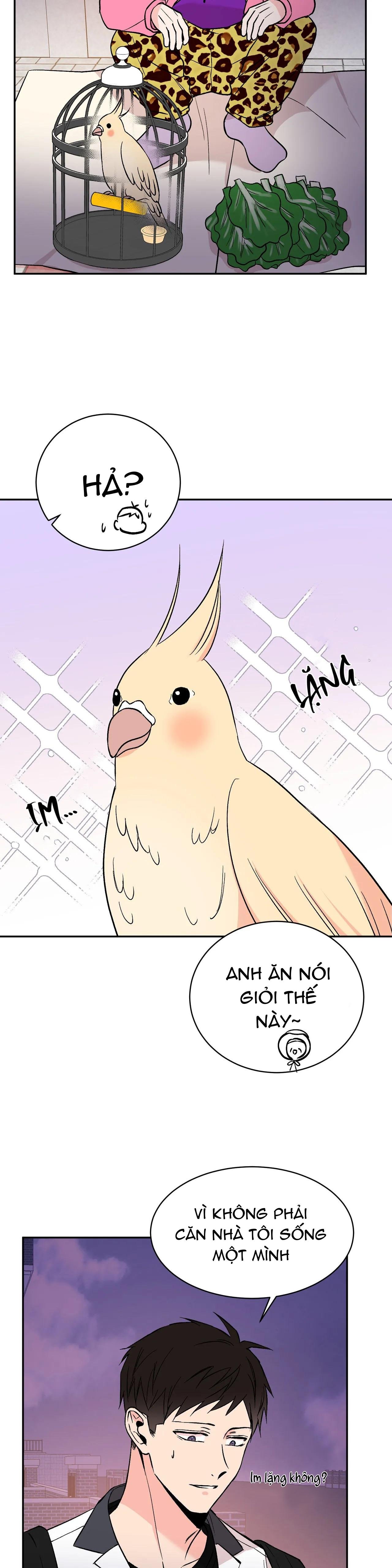 đảo ngược chapter 14 17