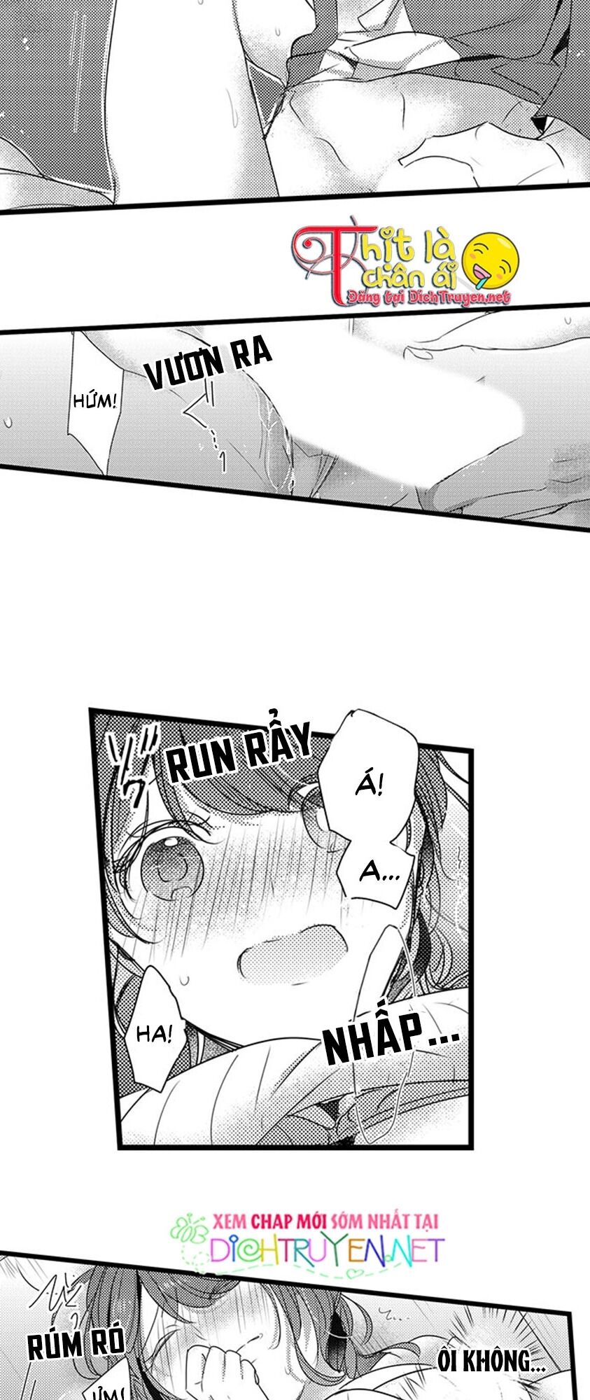 sai rồi, sếp tây nhà tôi không phải là quý ông đâu! chapter 36 5