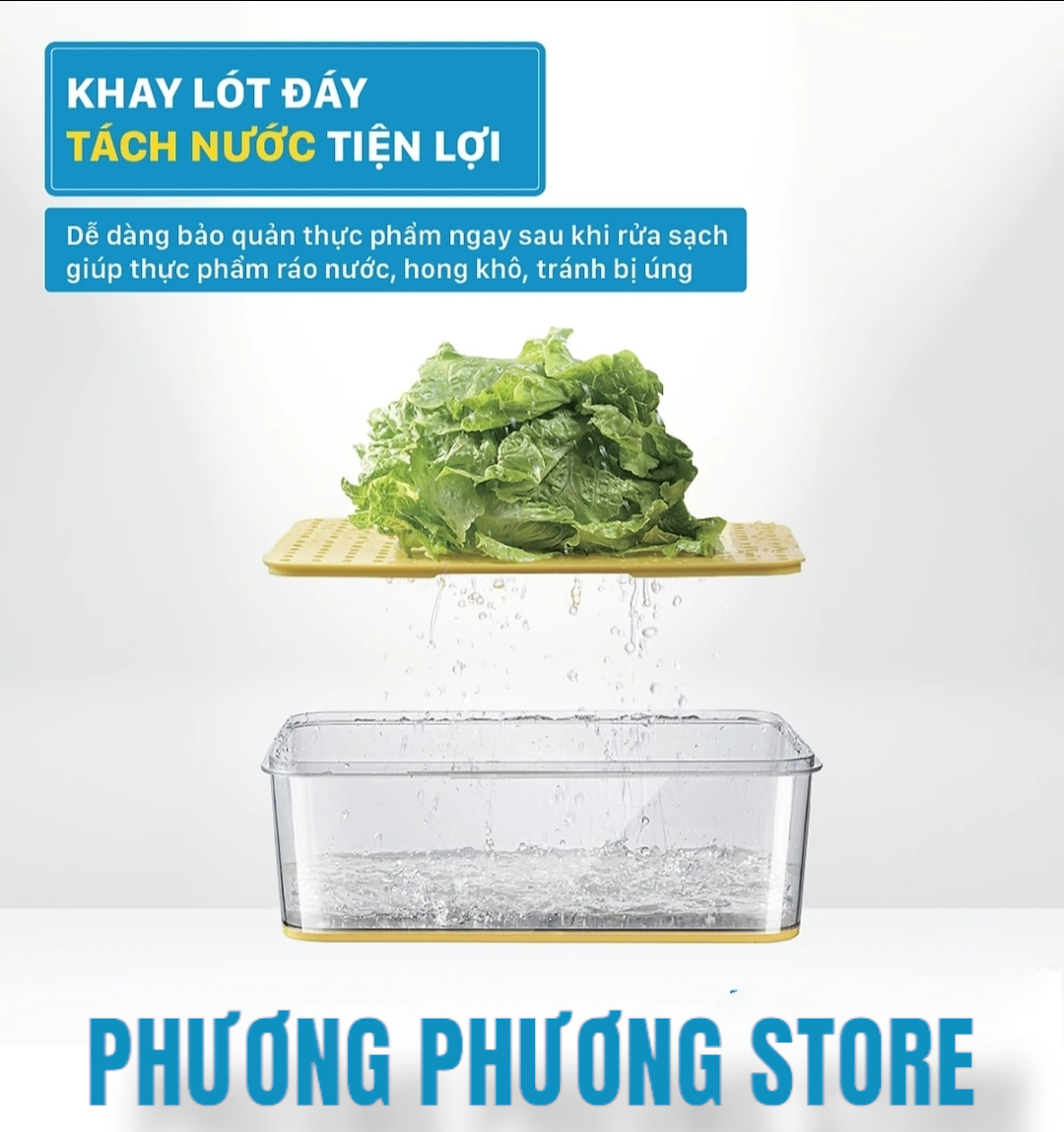 Hộp nhựa đựng thực phẩm HoKoRi trong suốt có khay lót đáy giúp ráo nước, chất liệu cao cấp, an toàn cho sức khỏe