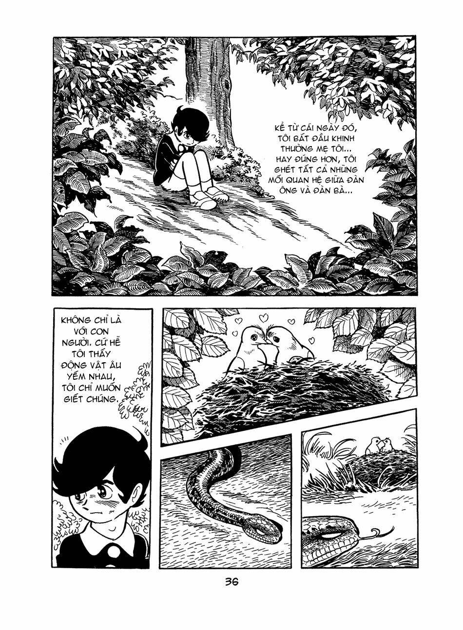 apollo’s song chapter 0 35