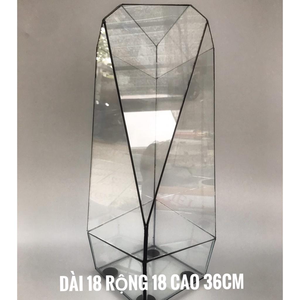 Bể Terrarium Đa Giác Setup Bán Cạn Để Bàn Làm Việc