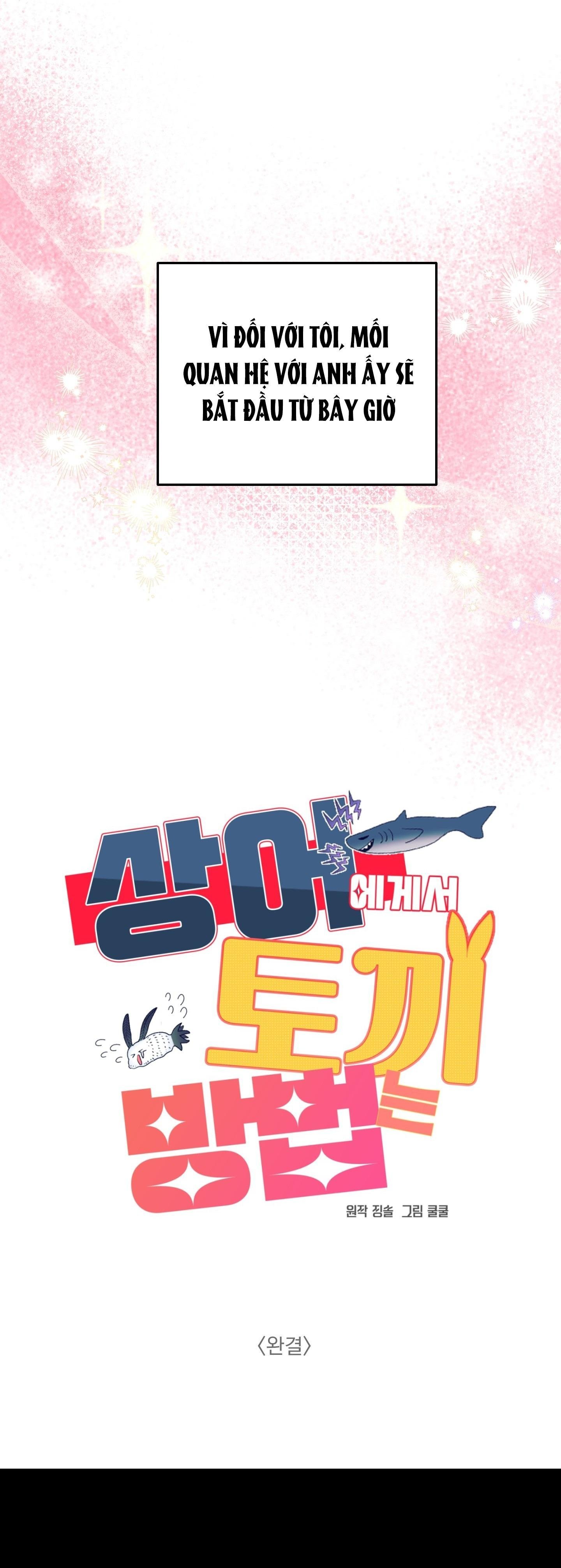 cá mập và cô dâu thỏ chapter 53 48