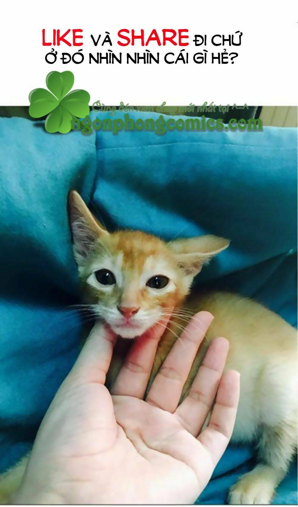 6 giờ ký ức chapter 5 13