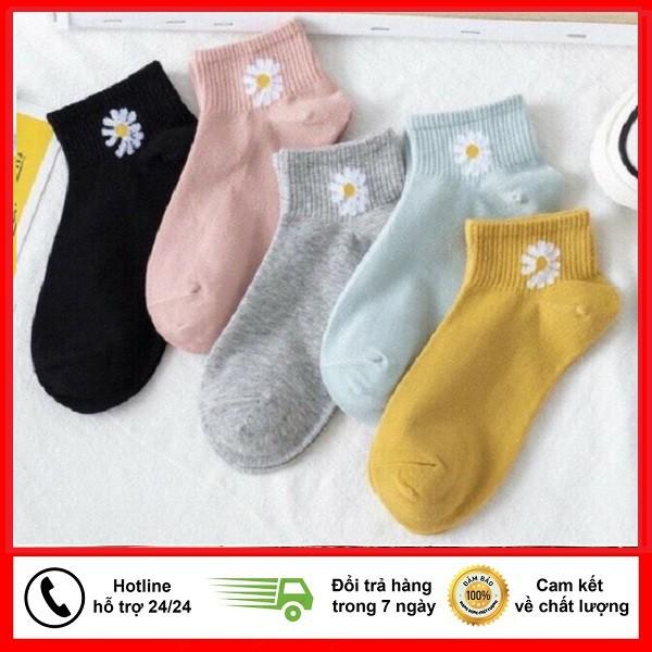 Tất Nữ Hoa Cúc Cổ Ngắn Mẫu Mới Màu Ngẫu Nhiên