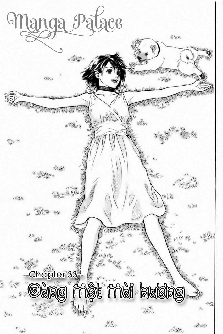 cô nàng yêu chó chapter 33 1