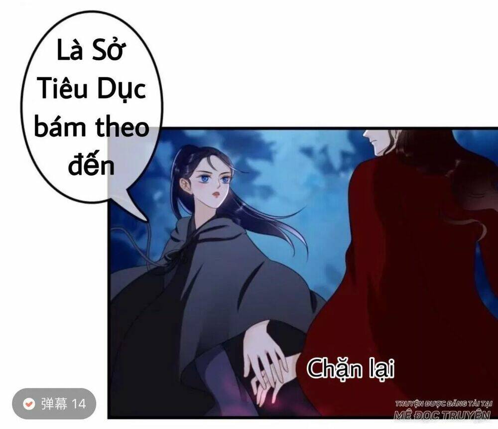 sủng phi của vương chapter 62 25