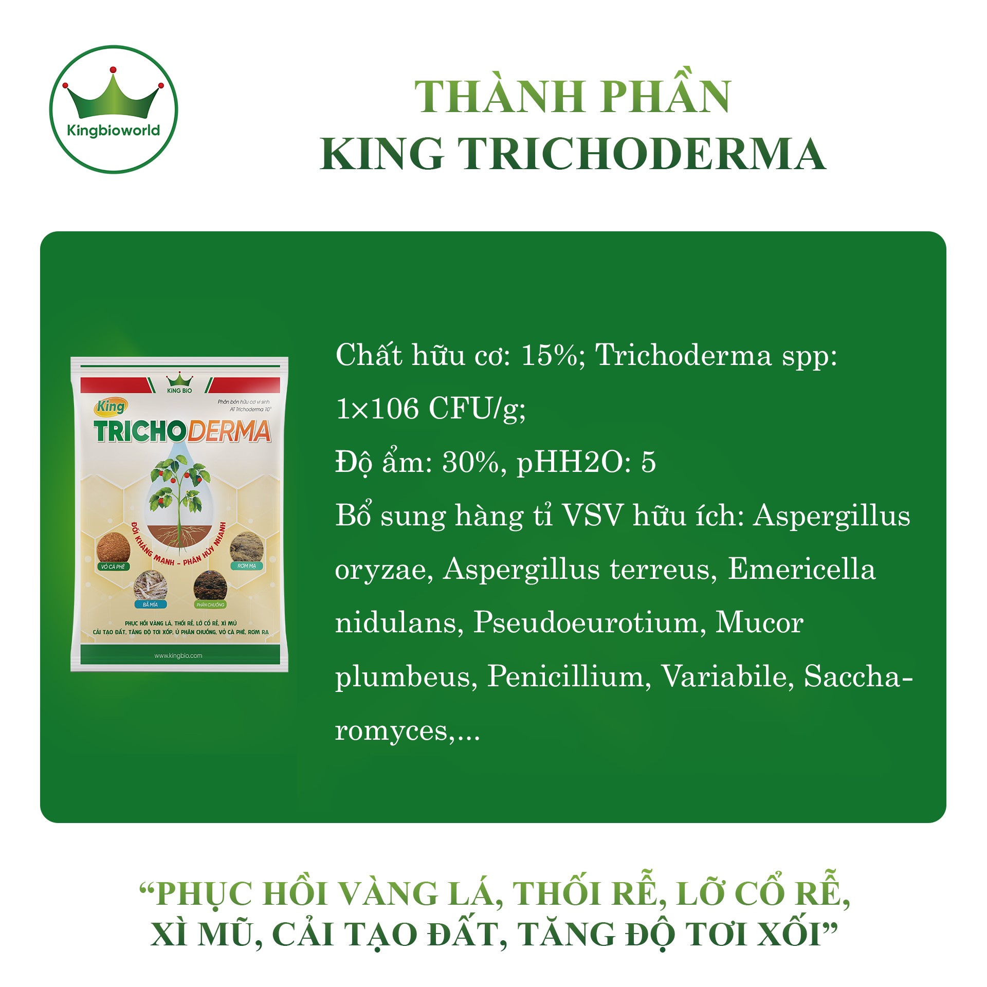 King Trichoderma chữa vàng lá thối rễ, lở cổ rễ, xì mủ, cải tạo đất, ủ phân hữu cơ sinh học