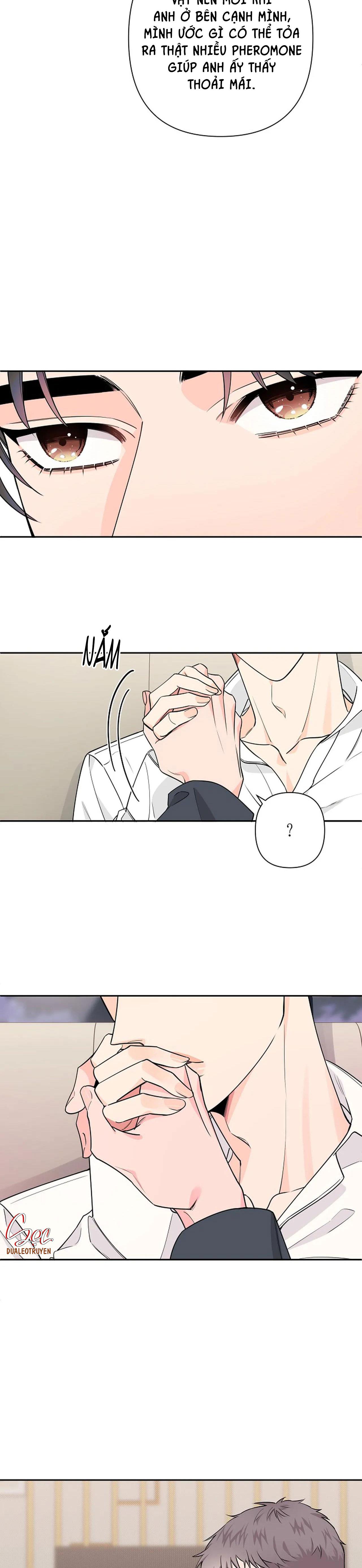 đêm dịu dàng chapter 31 15