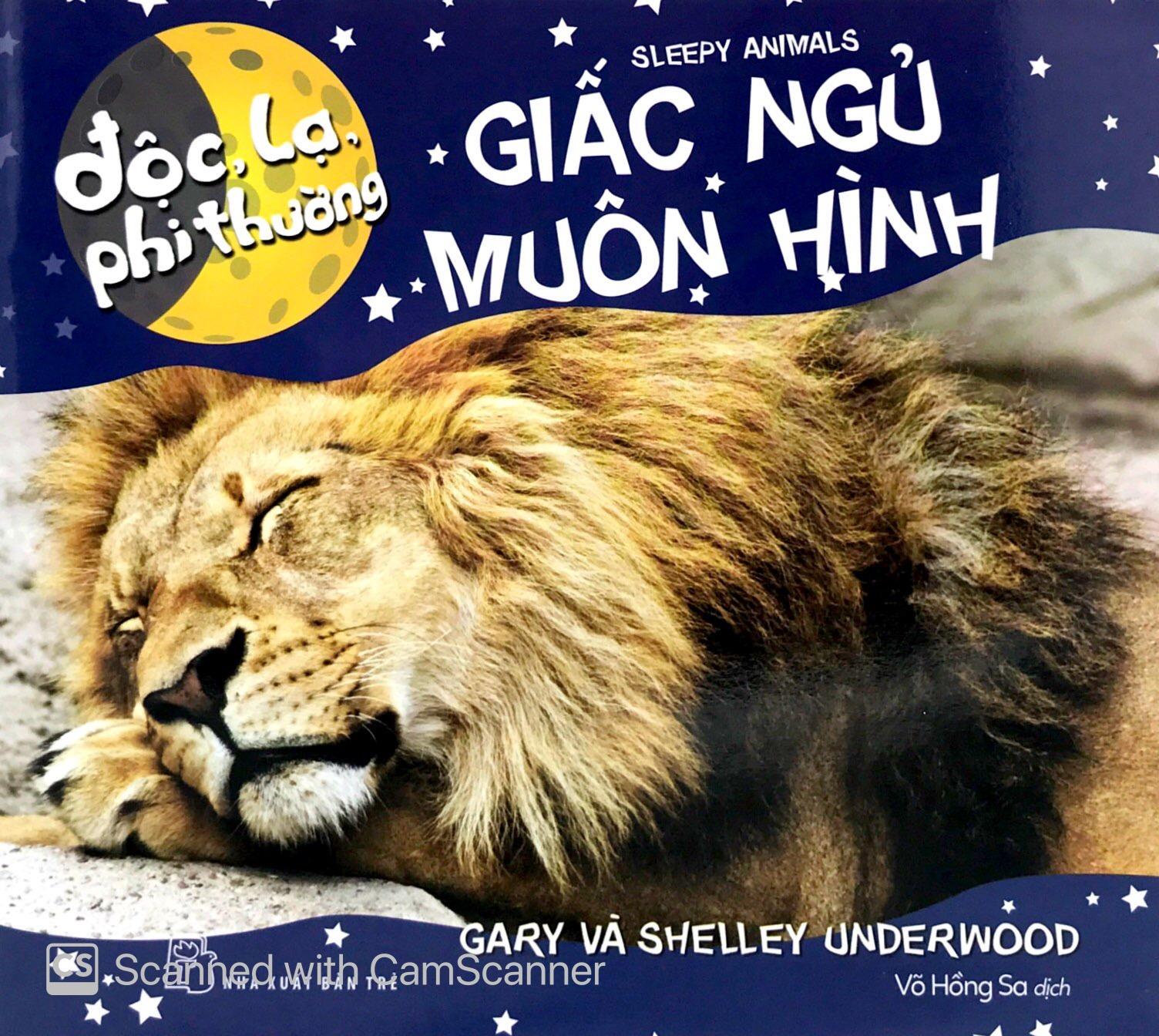 Độc Lạ Phi Thường - Giấc Ngủ Muôn Hình