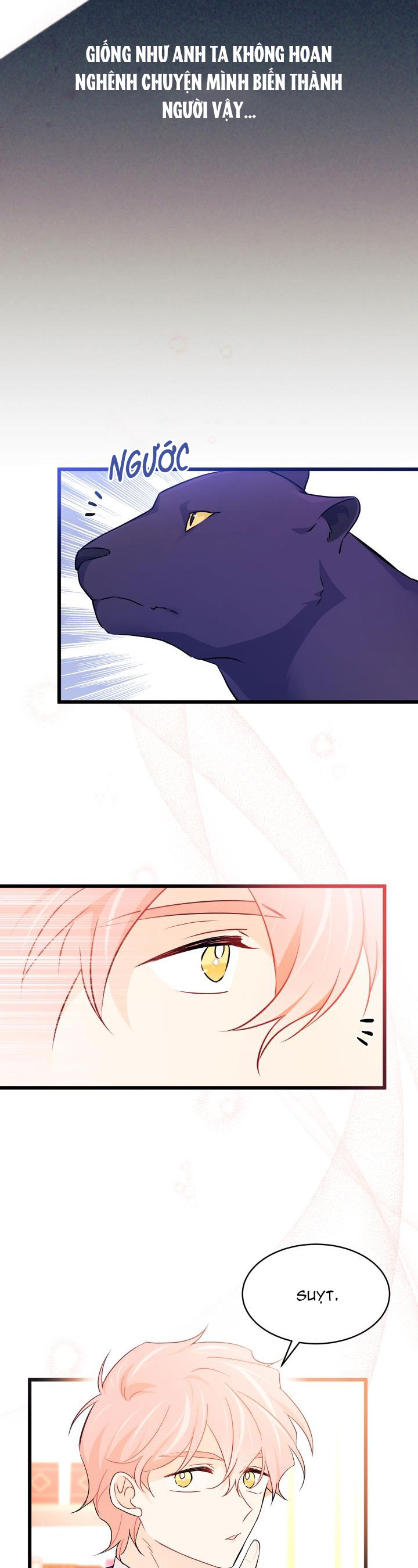 mối liên kết giữa báo đen và bé thỏ chapter 32 36