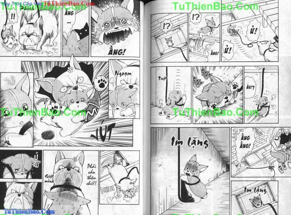 chó con mo mo chapter 5 62