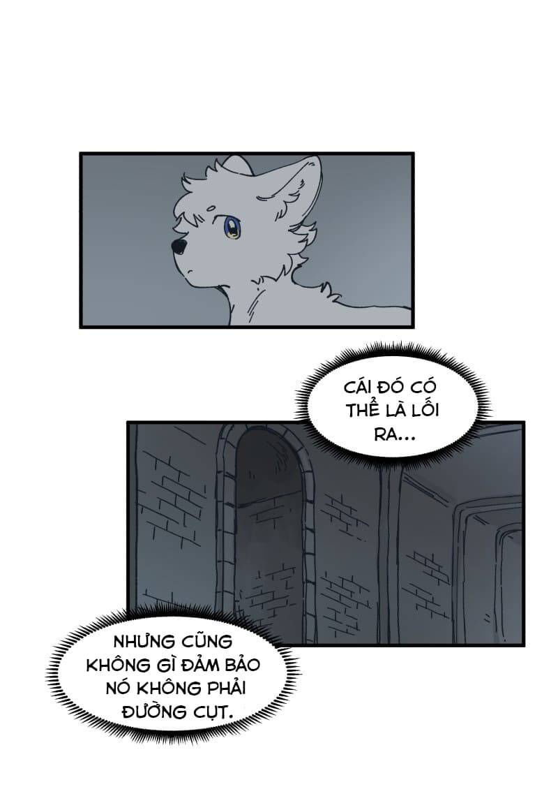 lumine - cội nguồn ánh sáng chapter 141 19