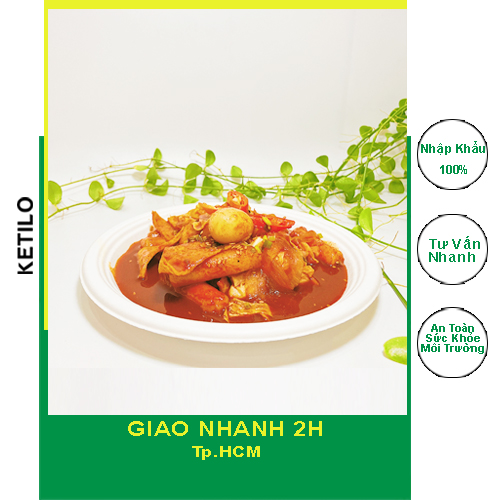 Bộ 25 Dĩa Giấy FEST BIO PLATE 8 Inches Trắng Thái Lan Cao Cấp, Sử Dụng Tốt Trong Lò Vi Sóng, Dùng 1 Lần, An Toàn Thân Thiện Môi Trường - HÀNG CHÍNH HÃNG F003 (Tặng Móc Khóa KETILO Cỏ 4 lá))