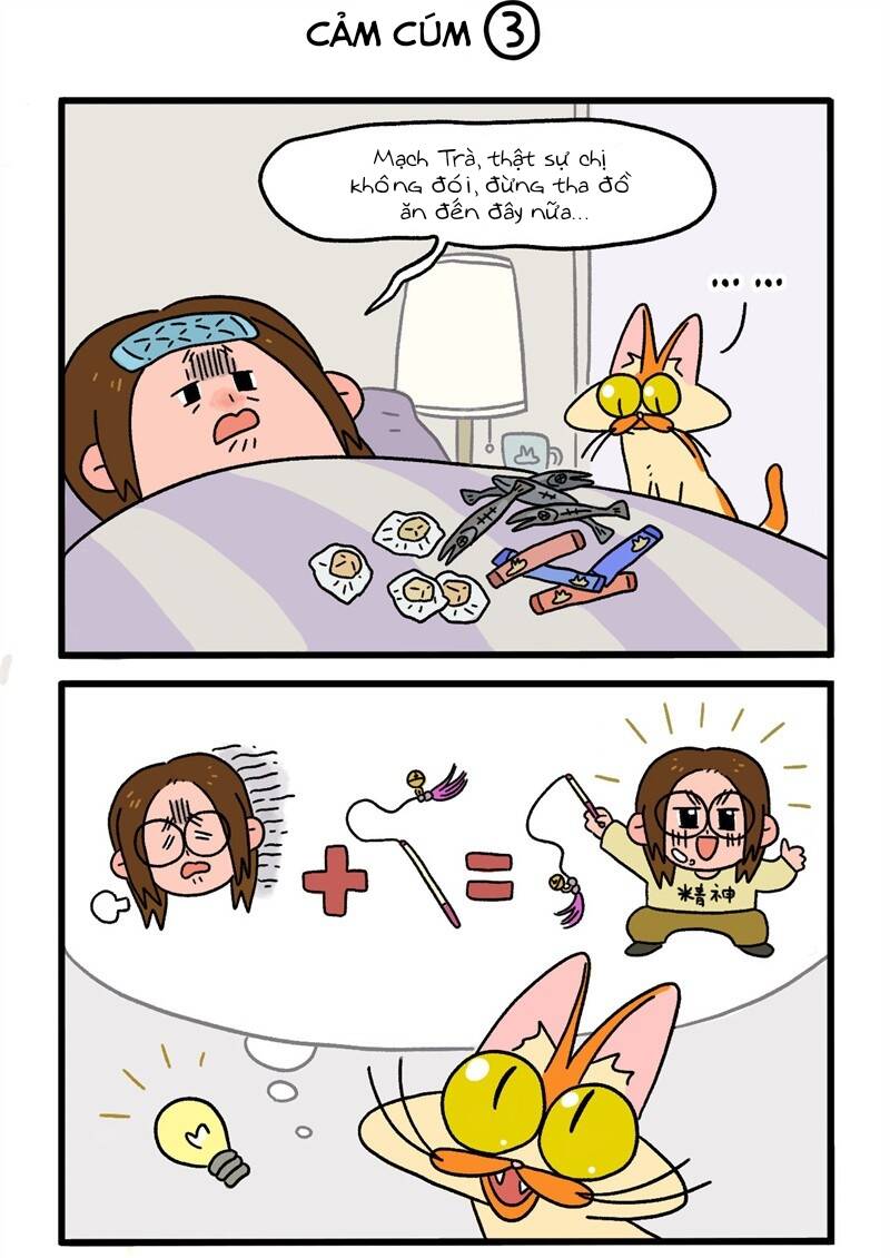 a mãn và mạch trà chapter 11 5