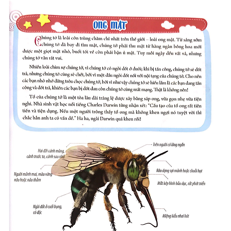 Sách Bách khoa động vật dành cho trẻ nhỏ