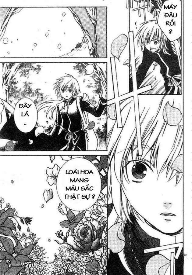 áo giáp vàng: thánh đấu sĩ thiên mã chapter 1 35