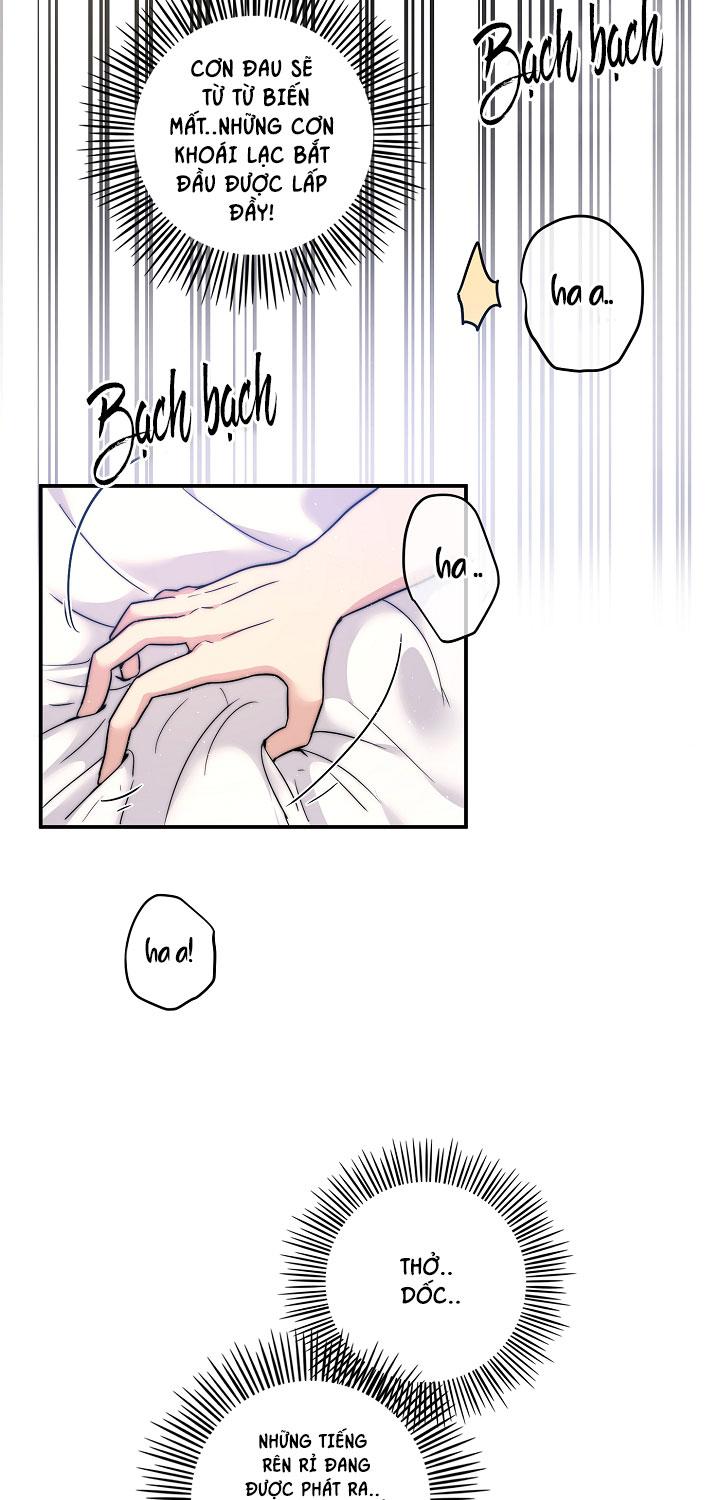 lọ lem phiên bản bl chapter 11 22