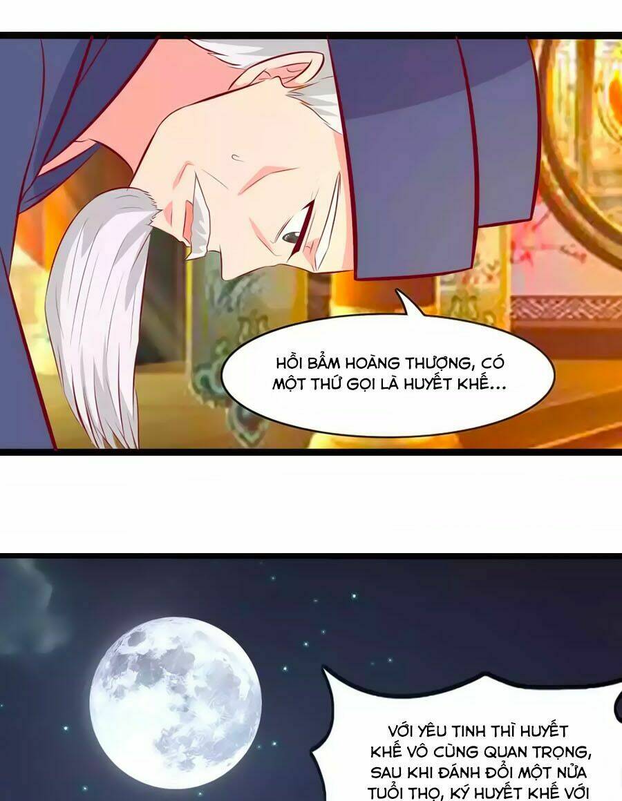 thỏ yêu tiểu vương phi chapter 82 26