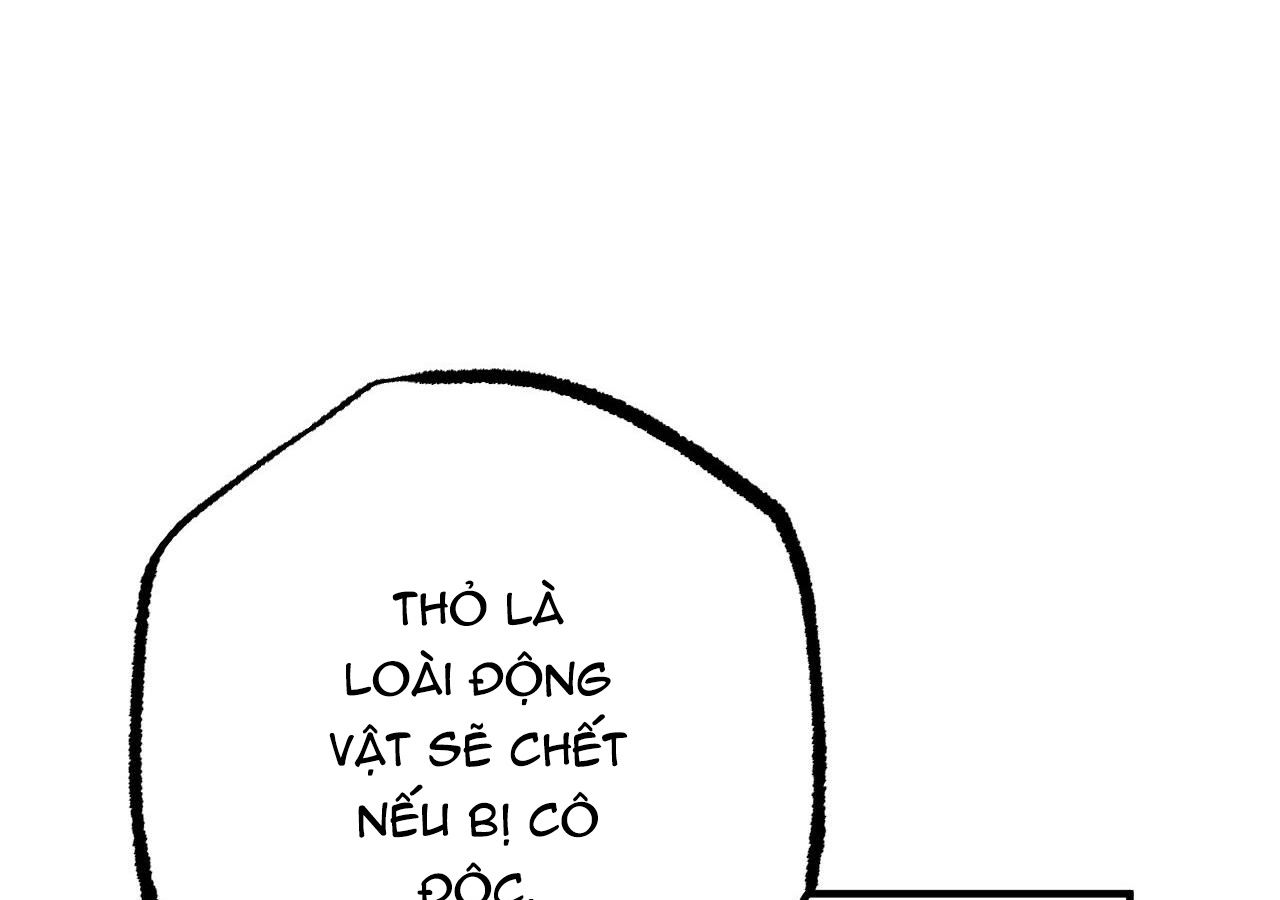 đàn thỏ của habibi chapter 20 166