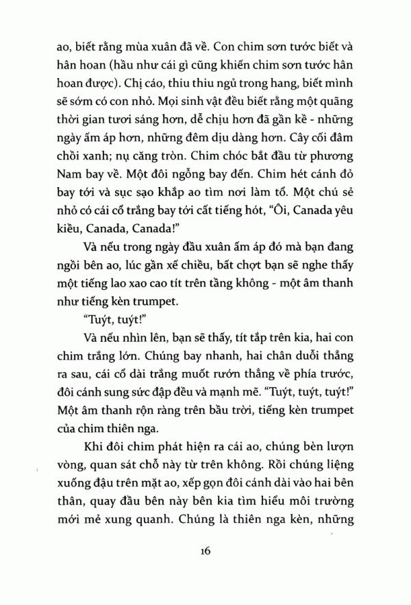 Tiếng Kèn Thiên Nga