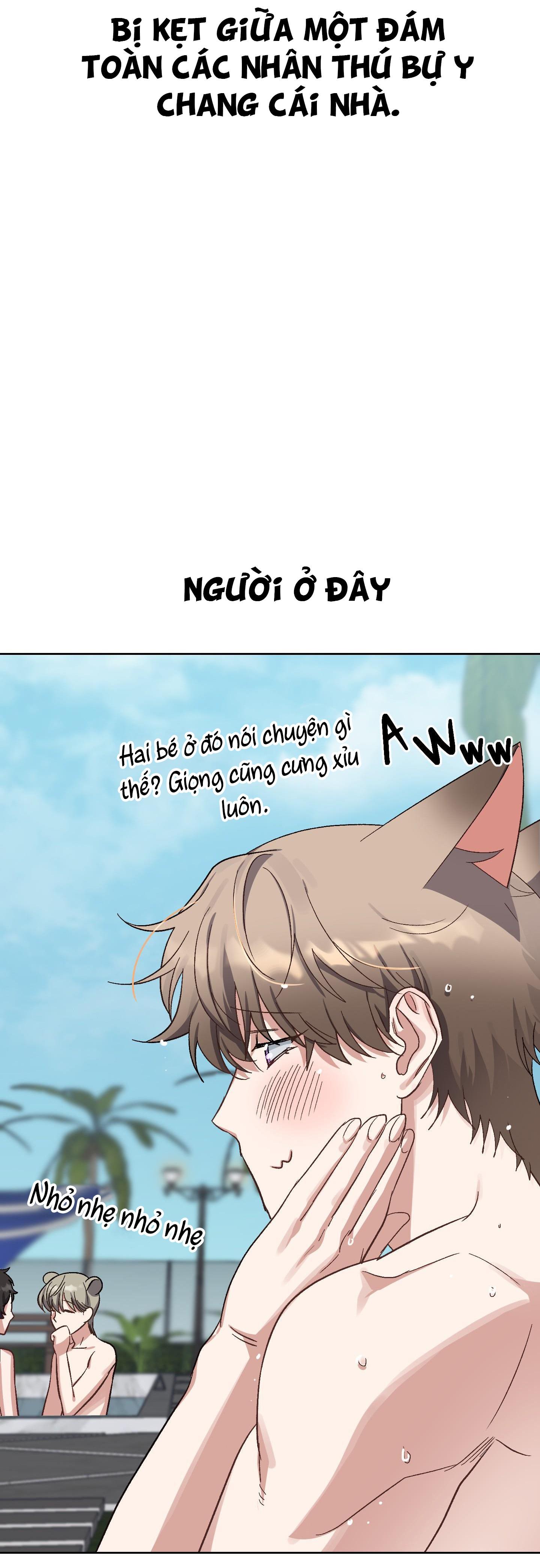 chú thỏ chỉ cần 3 giây là xuất tinh chapter 1 19