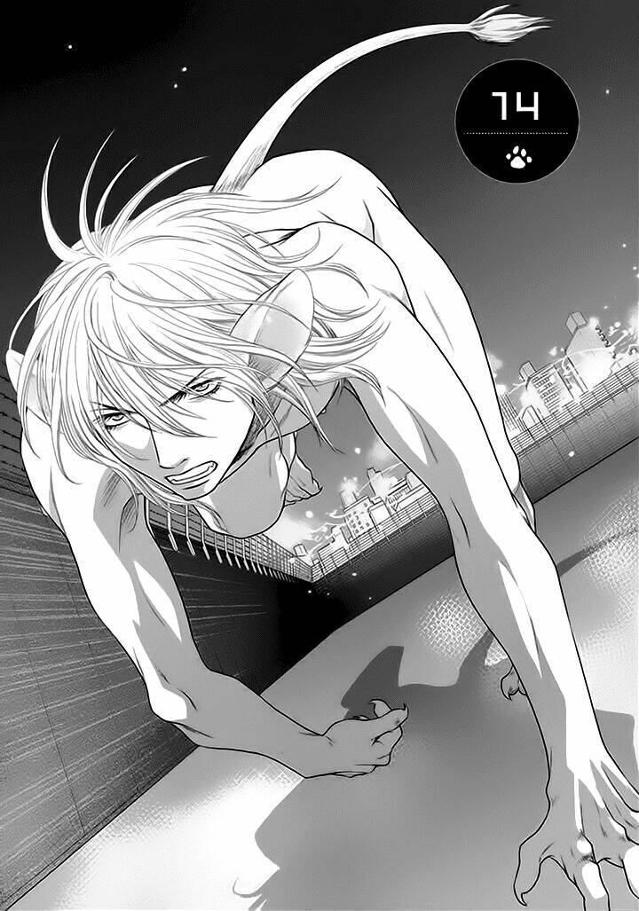 nekoka danshi no shitsukekata chapter 14 2