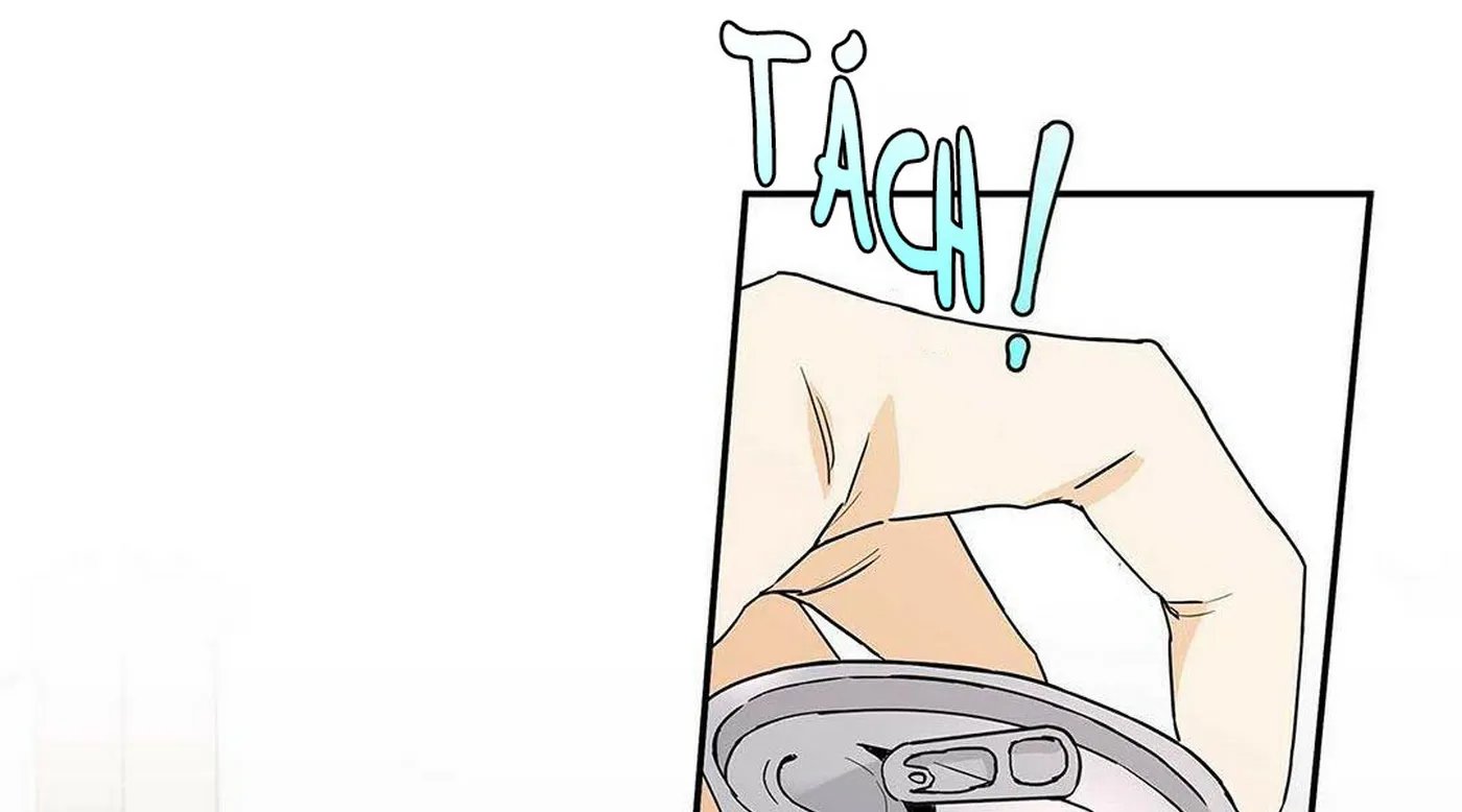 guide cấp b chapter 6 5