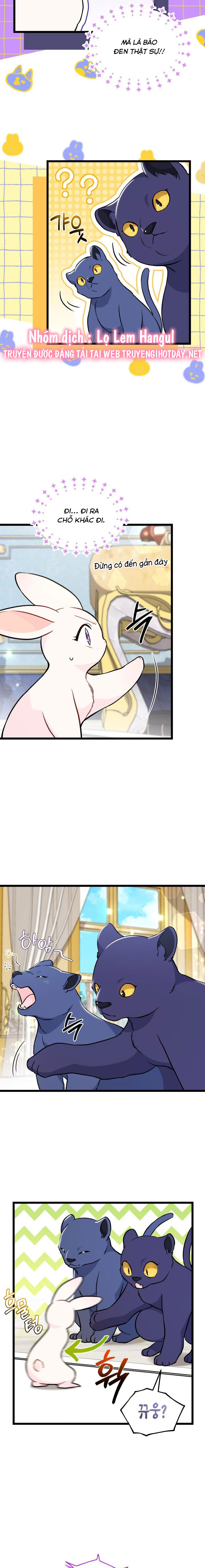 mối liên kết giữa báo đen và bé thỏ chapter 134 5