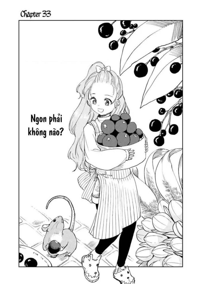 i'm a middle-aged man who got my adventurer license revoked chapter 33 1