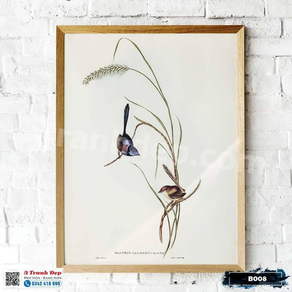 Tranh Canvas minh họa loài chim sẻ nàng tiên - B008