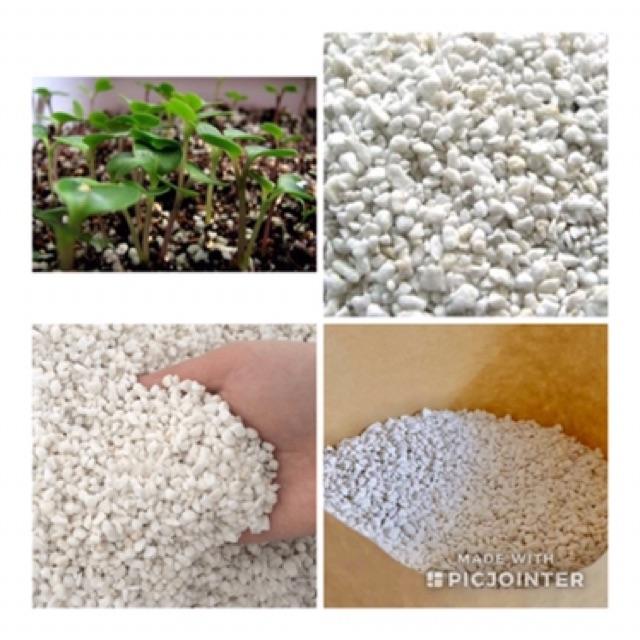 Đá Perlite chuyên dùng trồng cây chậu