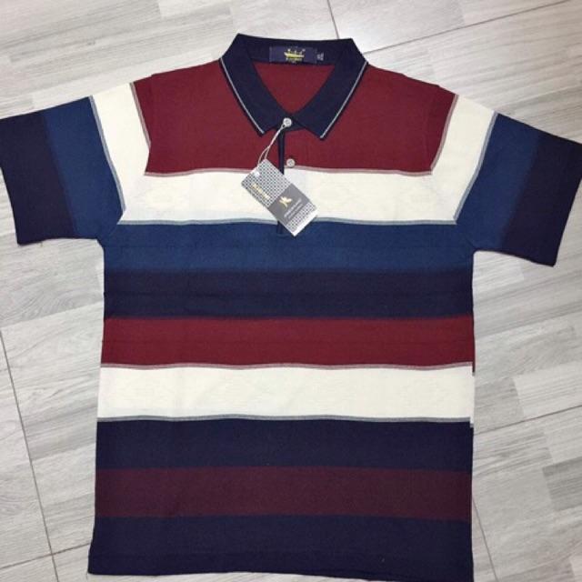 Áo thun nam trung niên trung tuổi mongtoghi mông tơ ghi mongtori