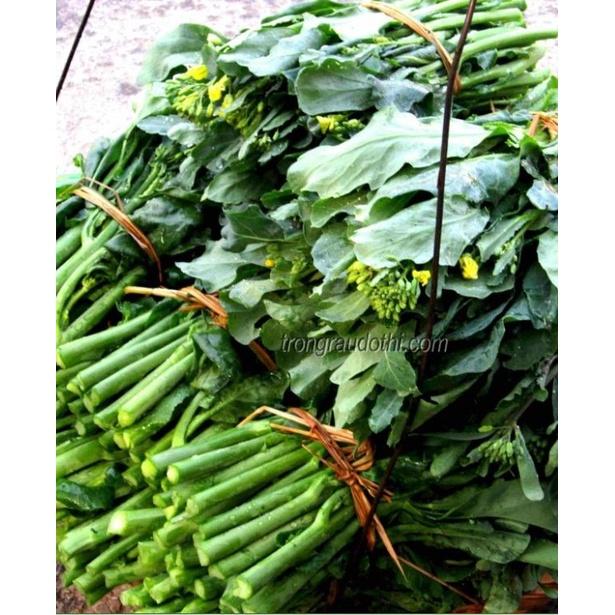 Combo 3 gói hạt giống rau cải ngồng xanh-gói 10 gram-tặng kèm gói phân bón lót