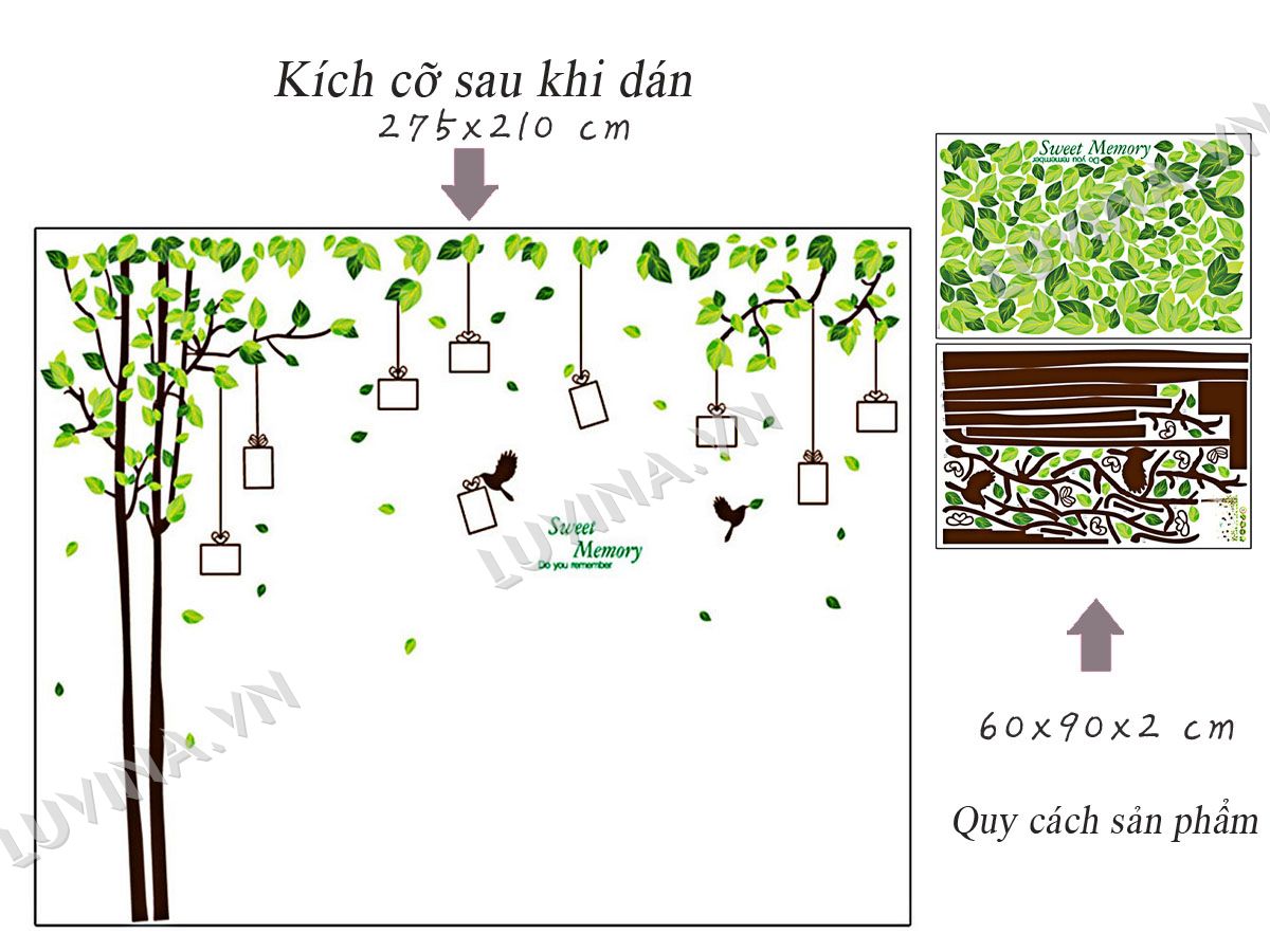 Decal dán tường Cây photo - HP482