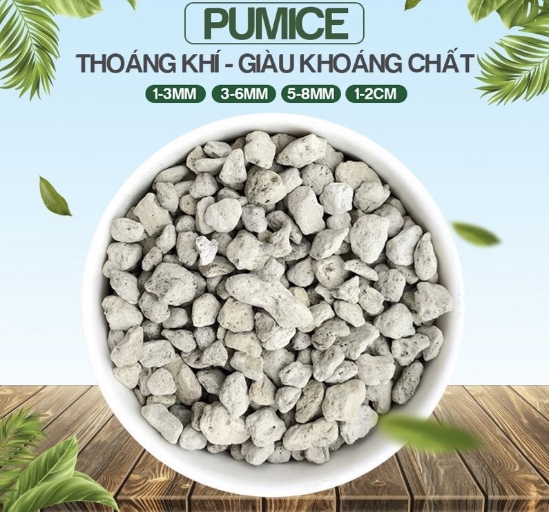 1Kg Đá Pumice Indonesia Full Size - Đá Phủ Mặt Sen Đá, Xương Rồng