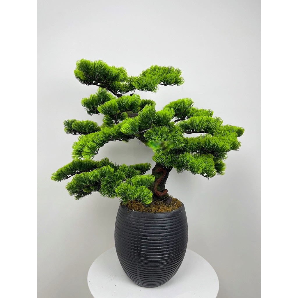 Cây tùng giả - Cây bonsai giả - Cây giả, hoa lụa Decor trang trí nhà cửa