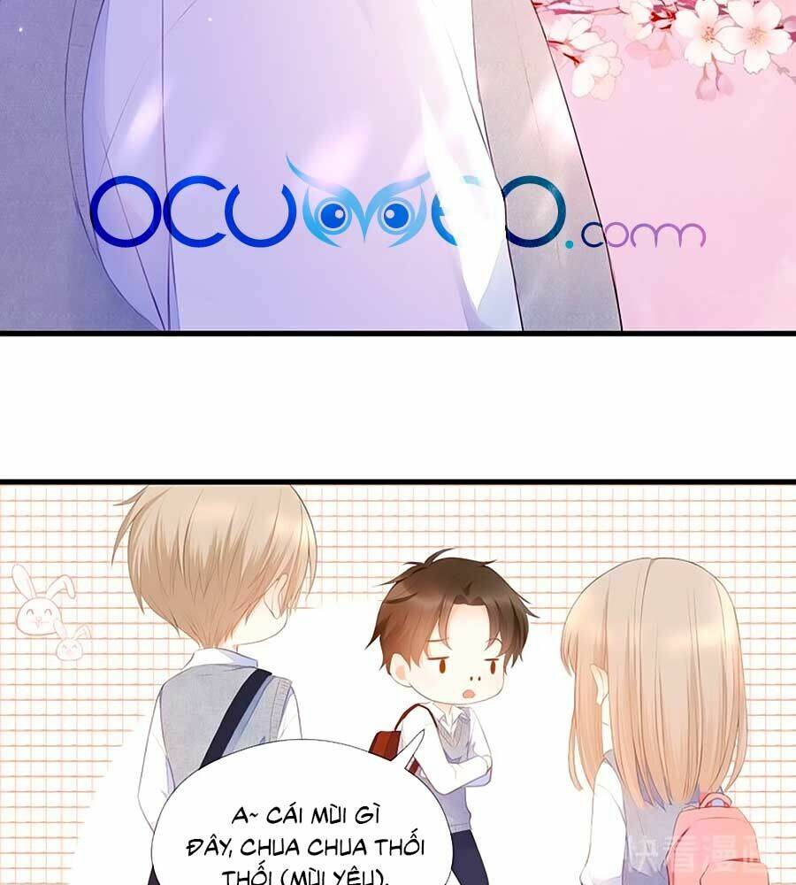 đóa hoa chớm nở chapter 66 7