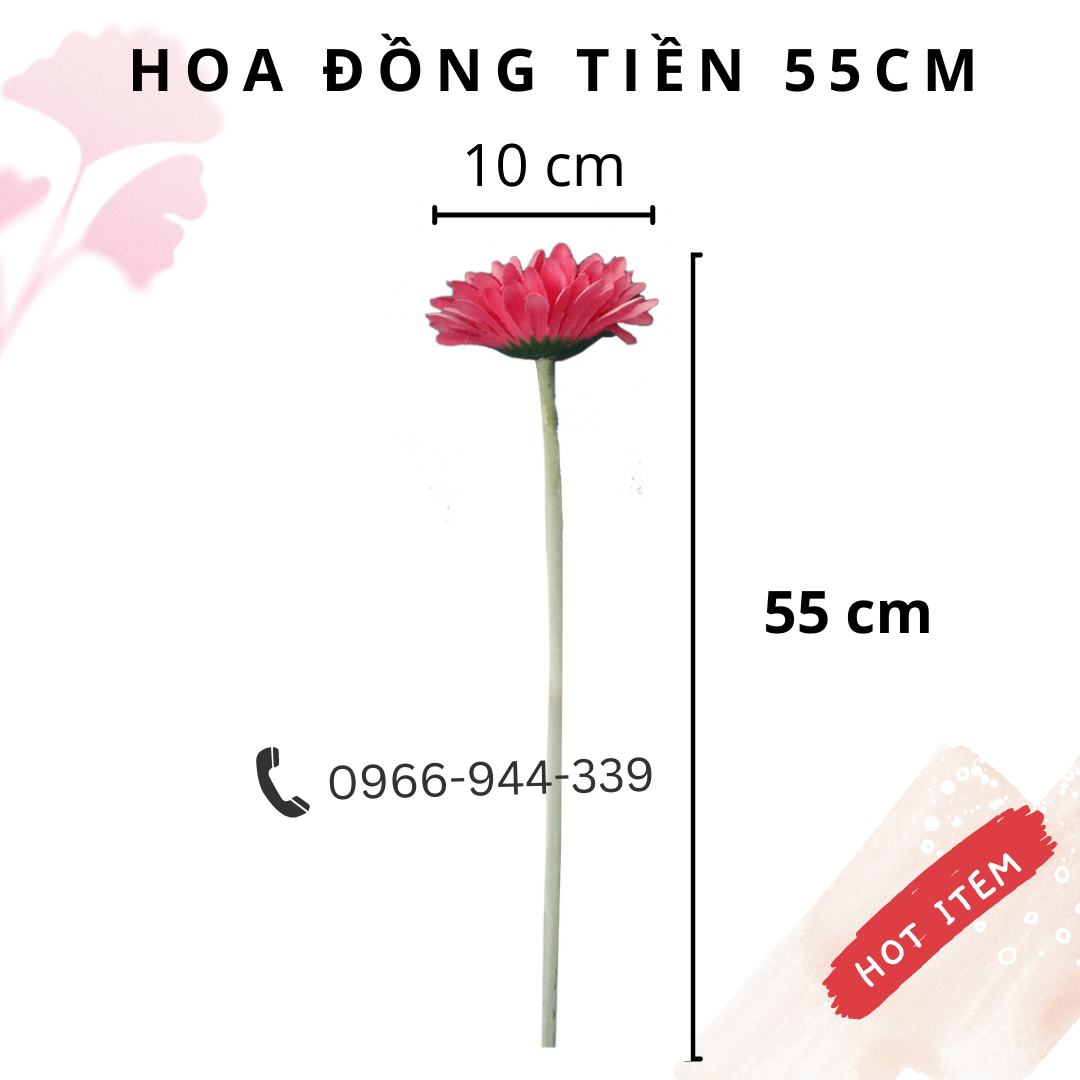 Combo HOA ĐỒNG TIỀN, Hoa Giả, Hoa Lụa, Hoa trang trí bền đẹp
