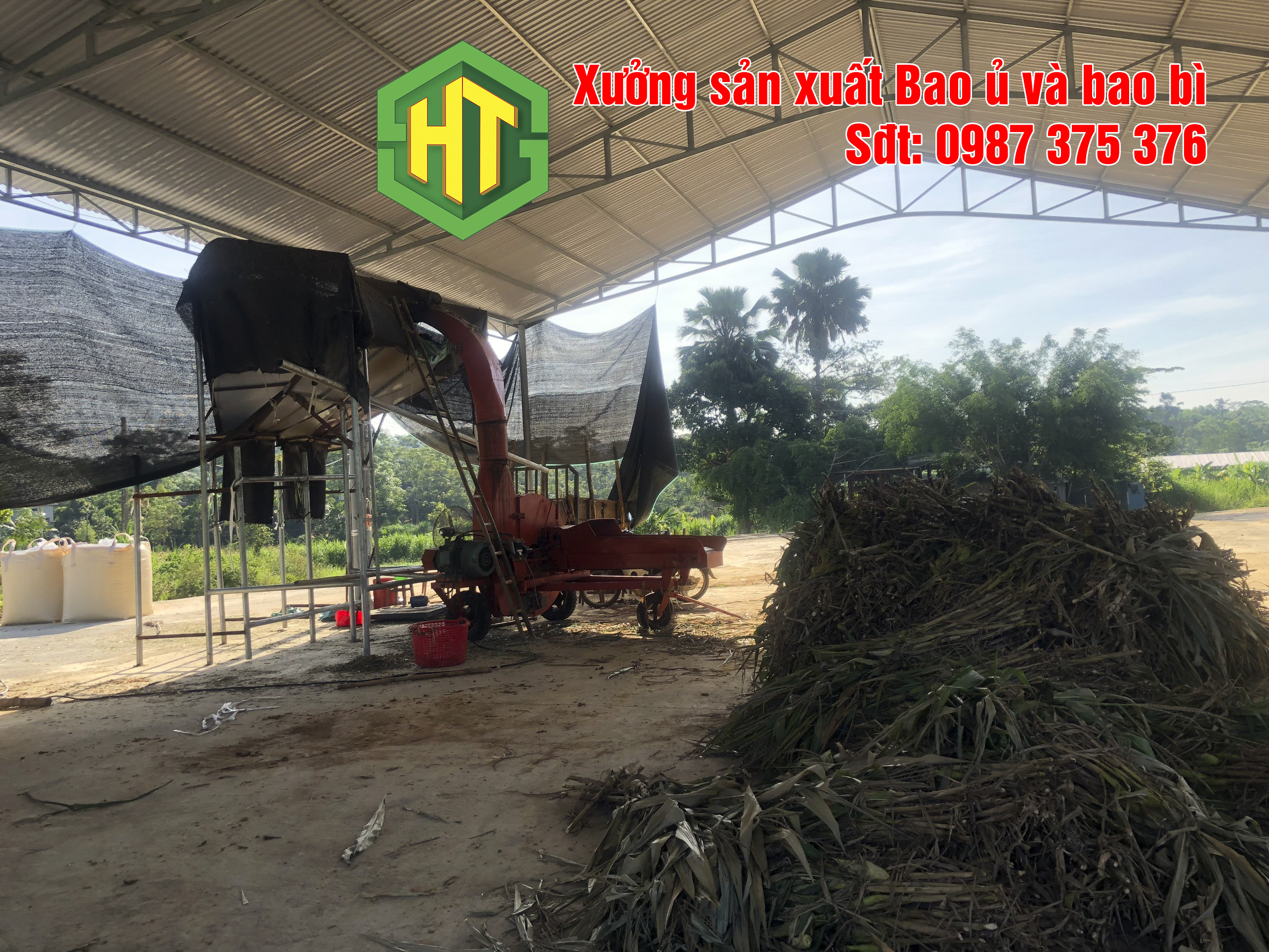Bao ủ thức ăn xanh 2,5kg có bao nilon